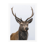 White Frame Framed art print Front