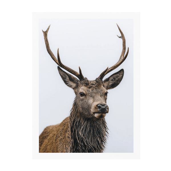 White Frame Framed art print Front