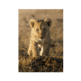 No Frame Canvas Print Front