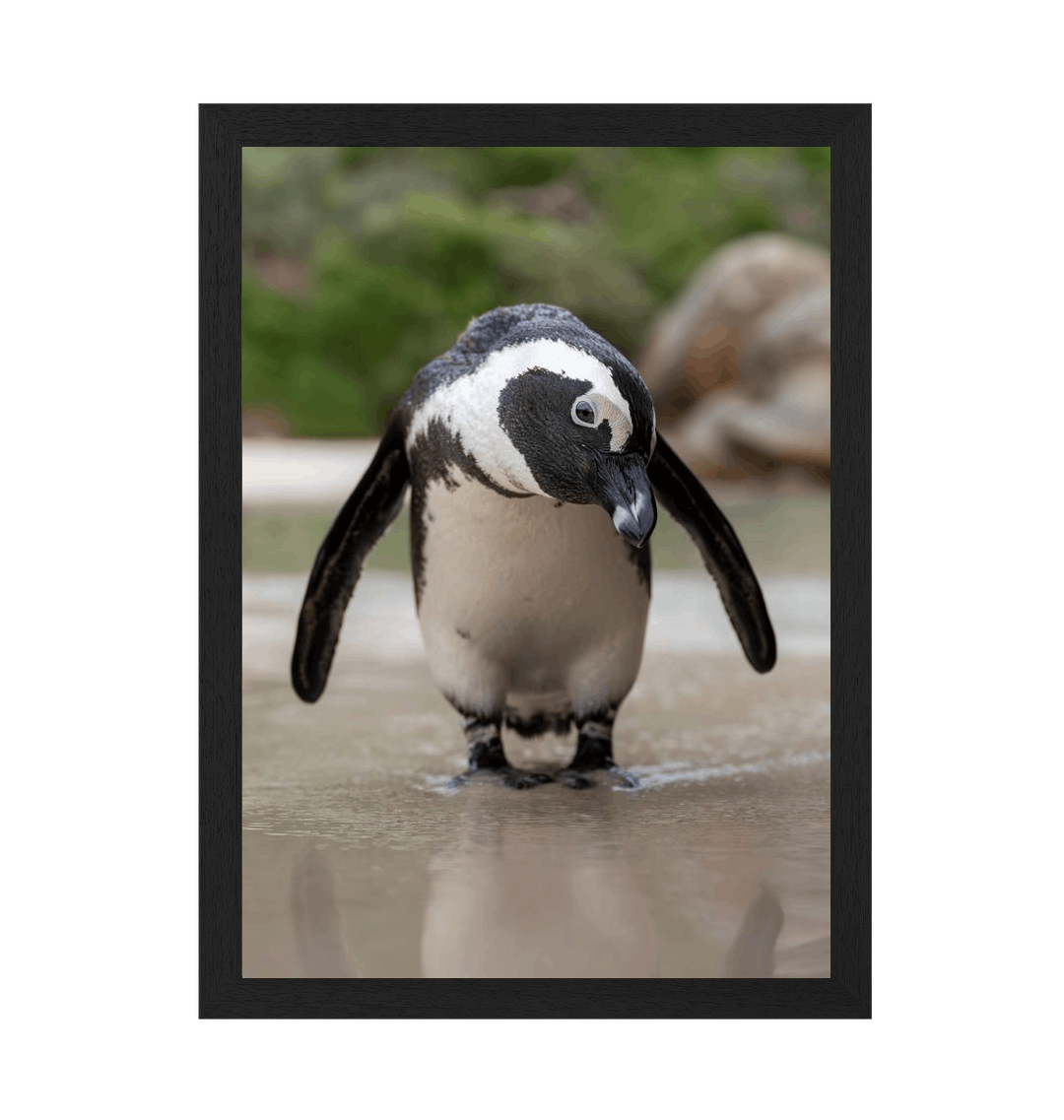 Black Frame Framed art print Front