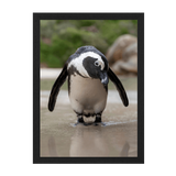 Black Frame Framed art print Front