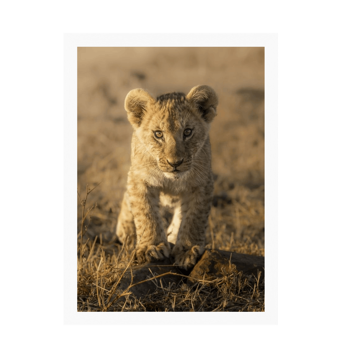 White Frame Framed art print Front