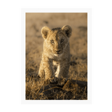 White Frame Framed art print Front