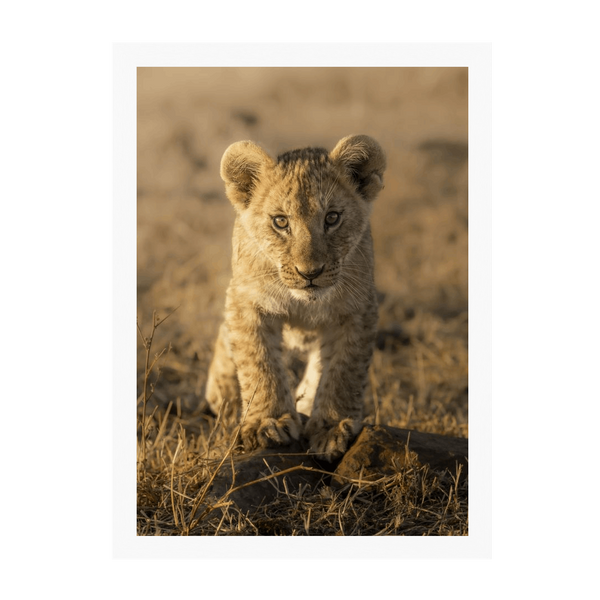 White Frame Framed art print Front