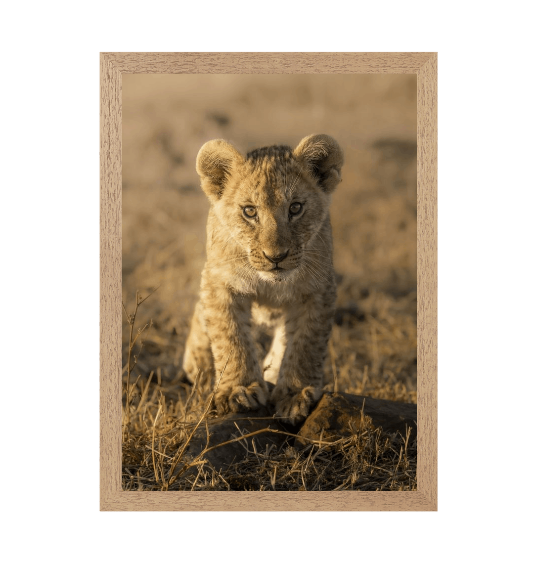 Natural Frame Framed art print Front