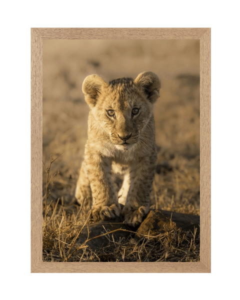 Natural Frame Framed art print Front