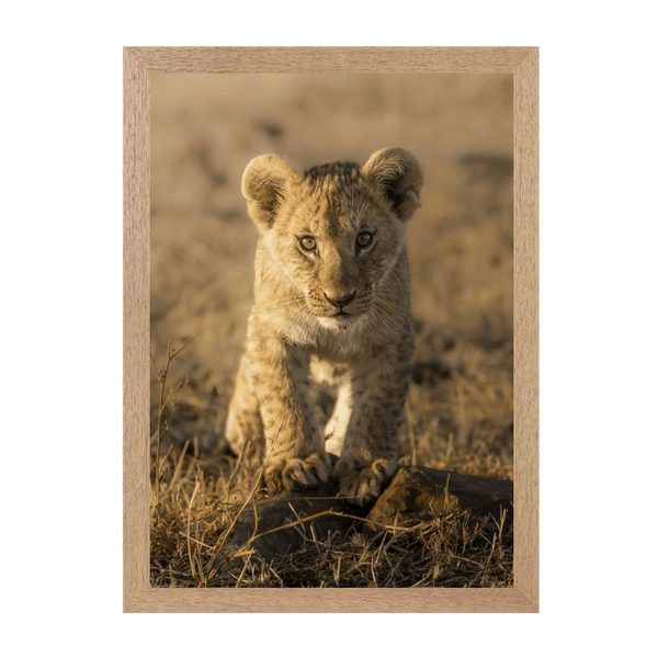 Natural Frame Framed art print Front