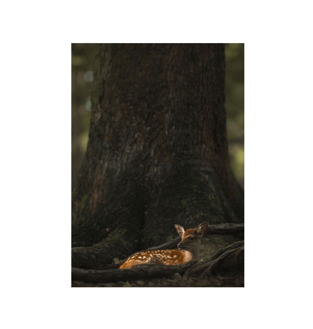 No Frame Framed art print Front