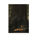 No Frame Framed art print Front