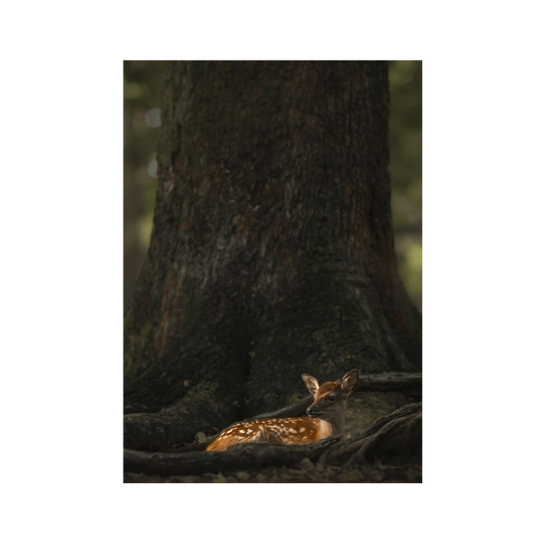 No Frame Framed art print Front