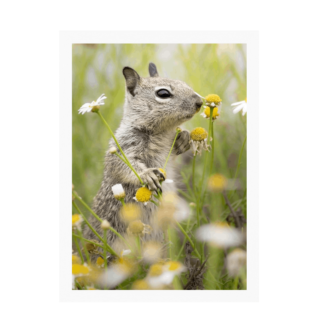 White Frame Framed art print Front