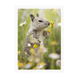 White Frame Framed art print Front