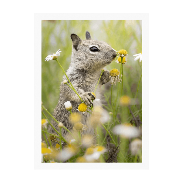 White Frame Framed art print Front