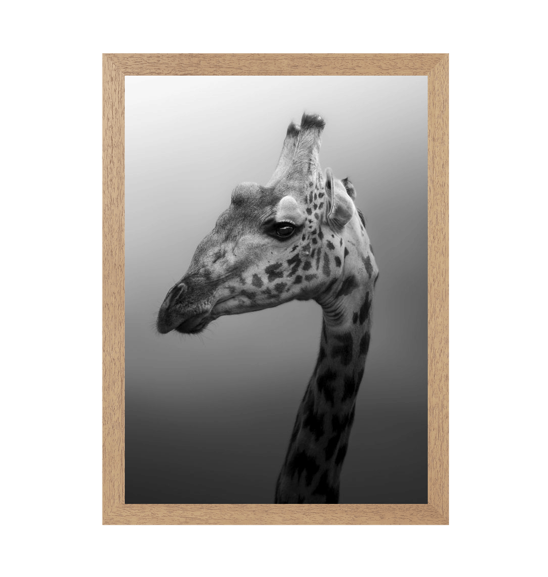 Natural Frame Framed art print Front