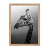 Natural Frame Framed art print Front