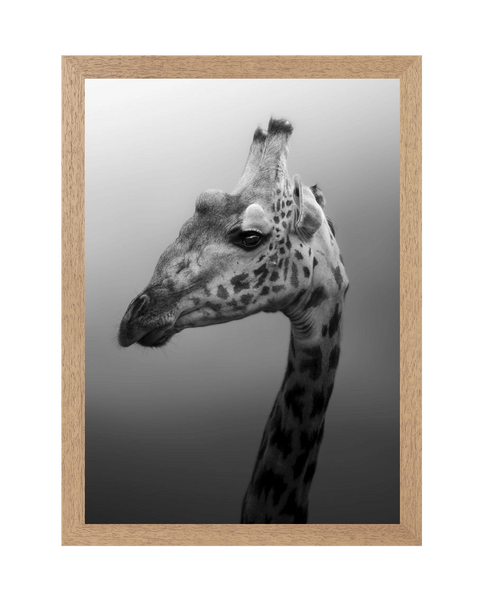 Natural Frame Framed art print Front