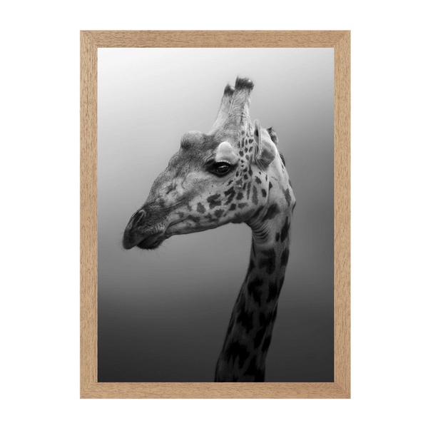 Natural Frame Framed art print Front