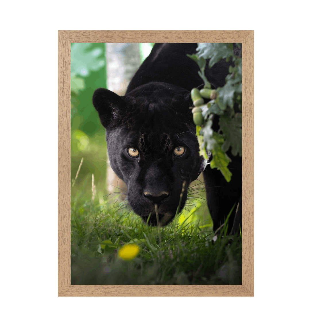 Natural Frame Framed art print Front