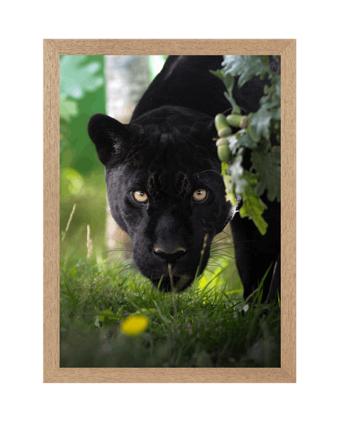 Natural Frame Framed art print Front