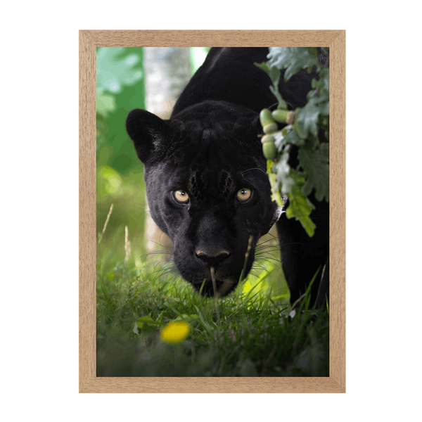 Natural Frame Framed art print Front