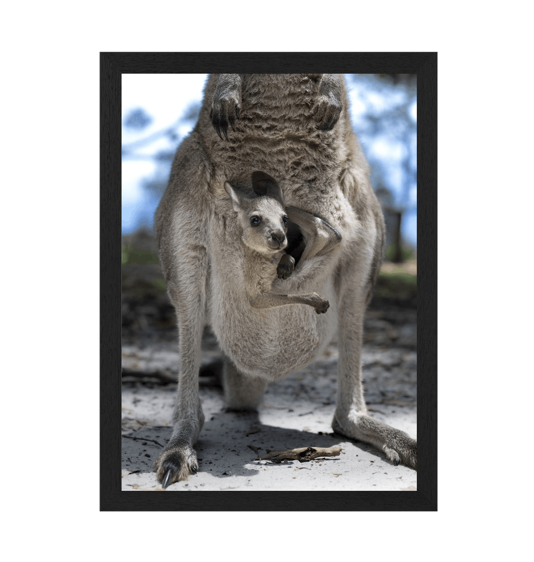 Black Frame Framed art print Front