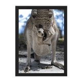 Black Frame Framed art print Front