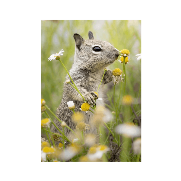 No Frame Canvas Print Front