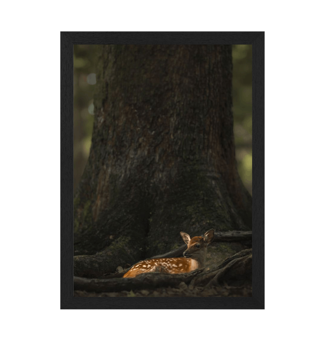 Black Frame Framed art print Front