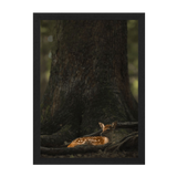 Black Frame Framed art print Front