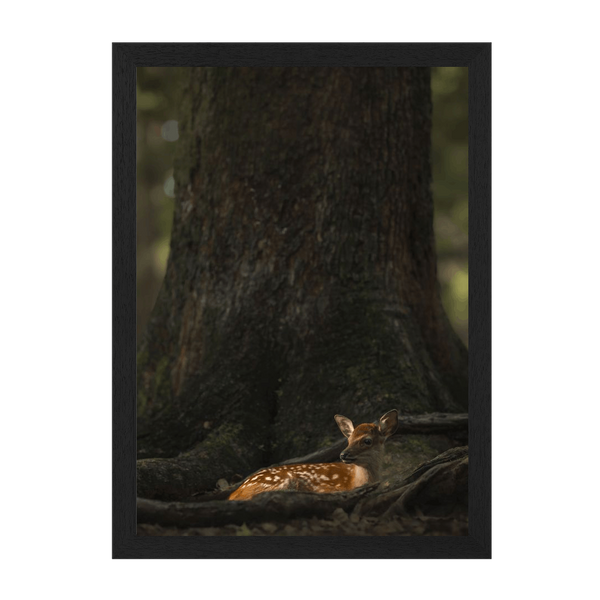 Black Frame Framed art print Front