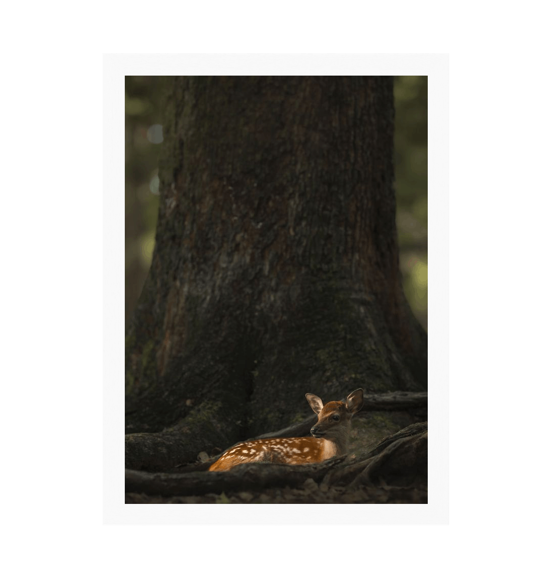 White Frame Framed art print Front