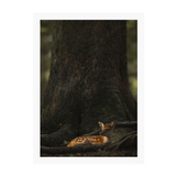 White Frame Framed art print Front