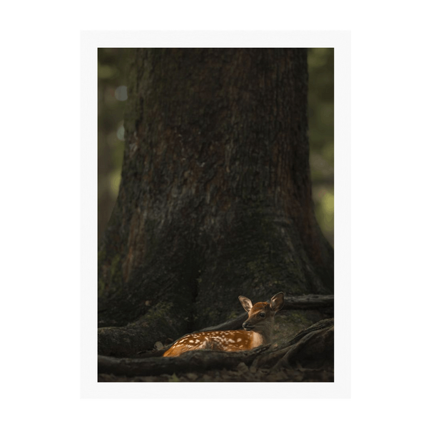 White Frame Framed art print Front