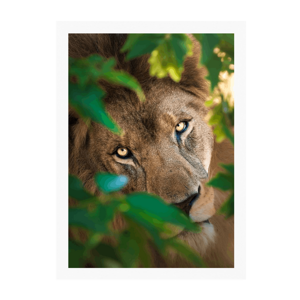 White Frame Framed art print Front