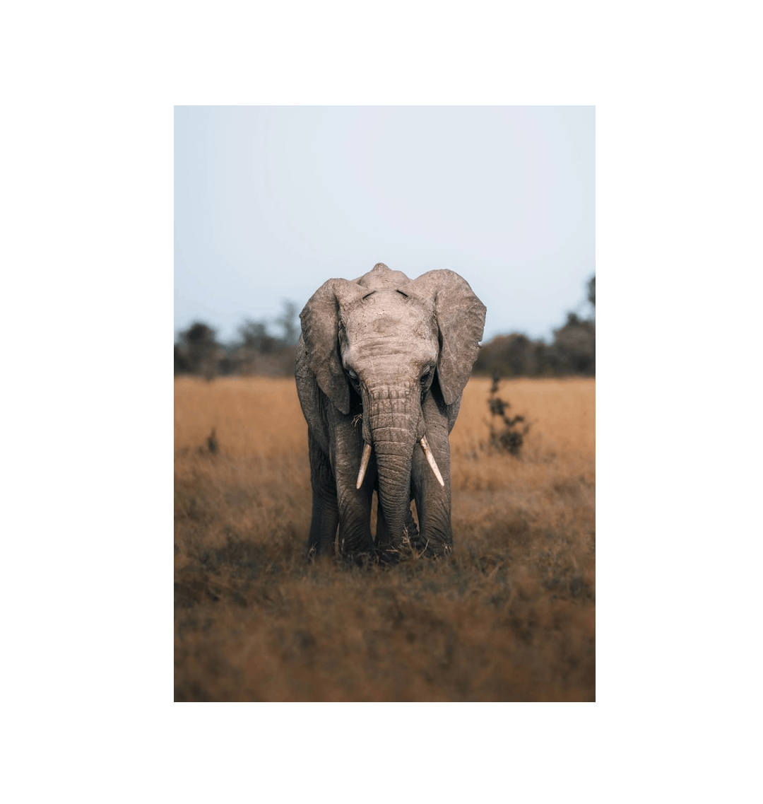 No Frame Framed art print Front