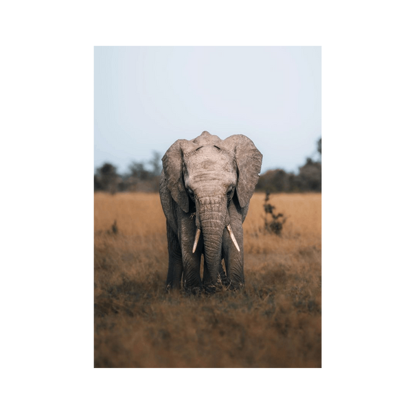 No Frame Framed art print Front