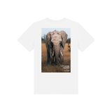 White Printed Kids T-Shirt Back