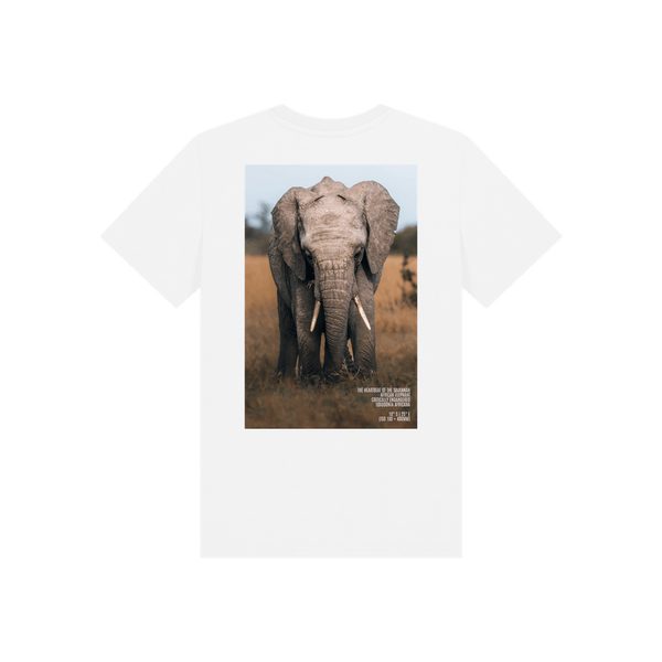 White Printed Kids T-Shirt Back