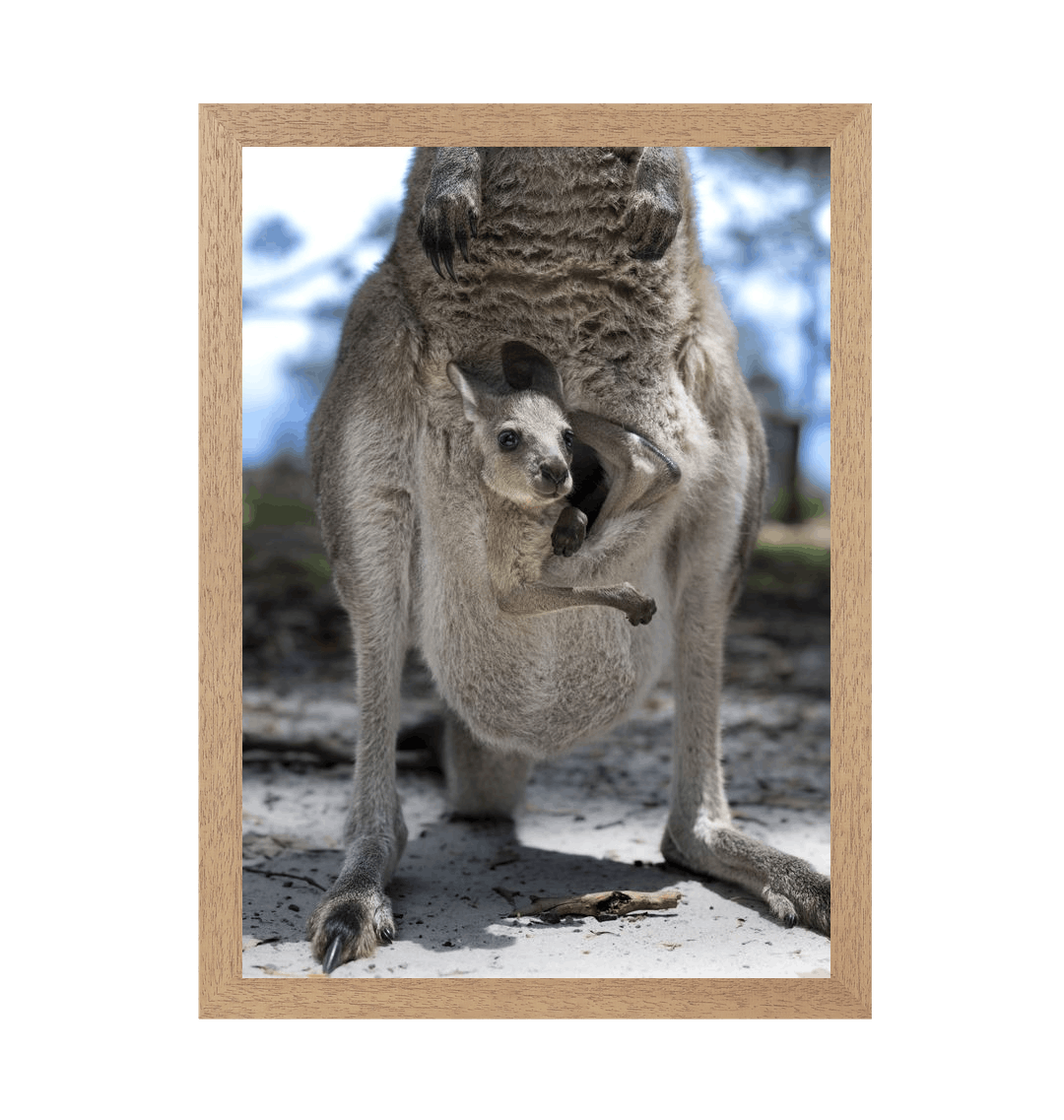 Natural Frame Framed art print Front