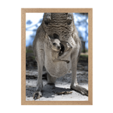 Natural Frame Framed art print Front