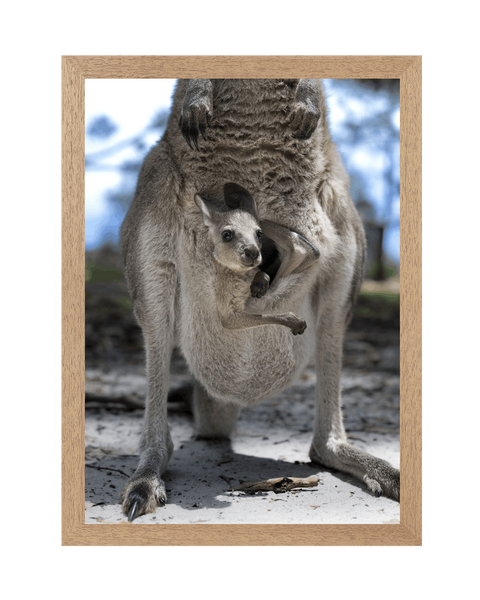 Natural Frame Framed art print Front