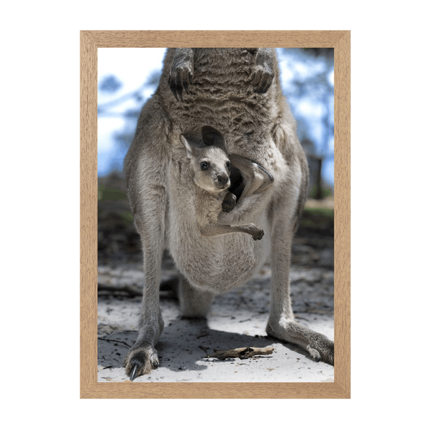 Natural Frame Framed art print Front