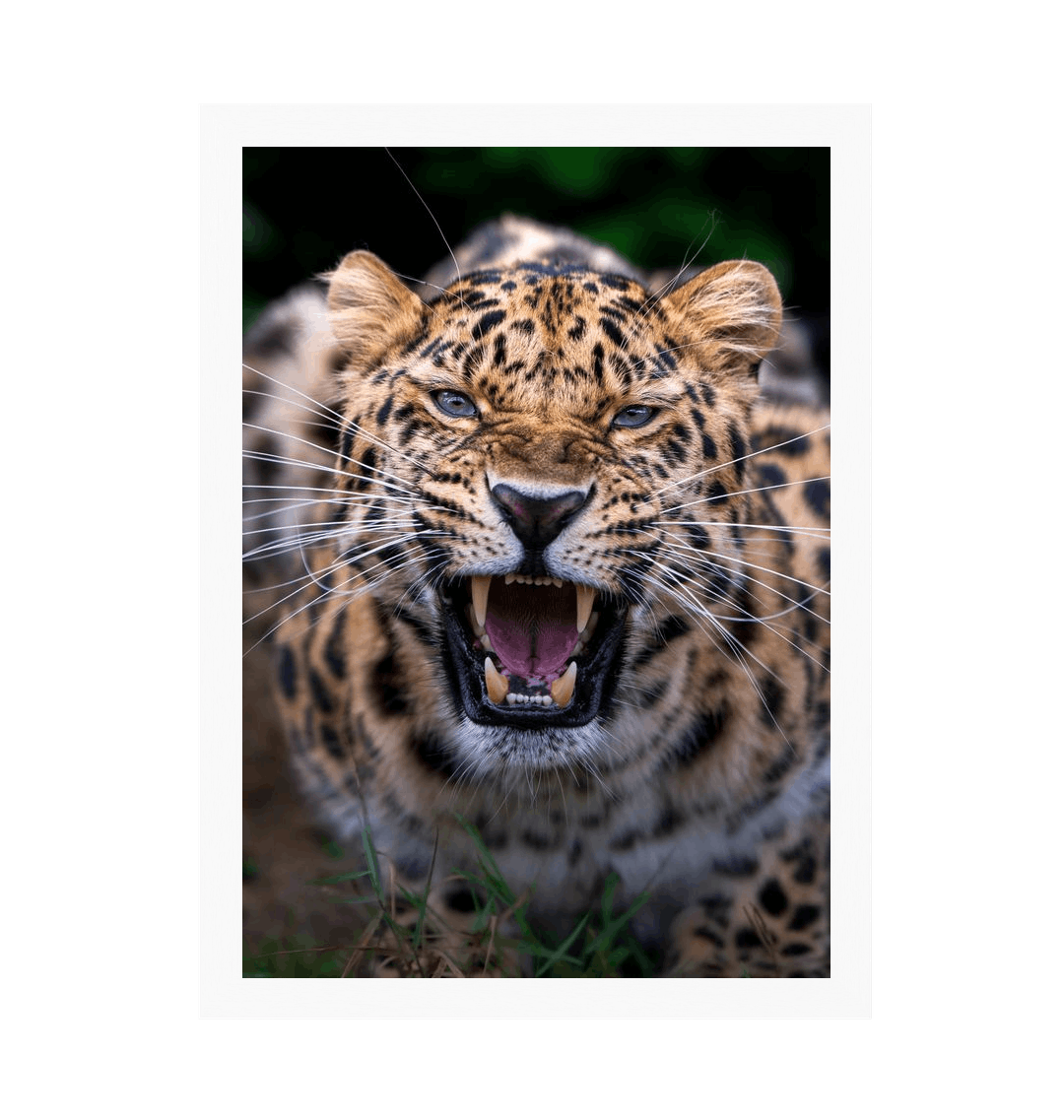 White Frame Framed art print Front