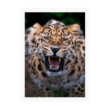 White Frame Framed art print Front