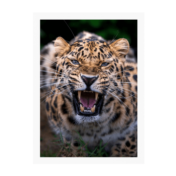 White Frame Framed art print Front