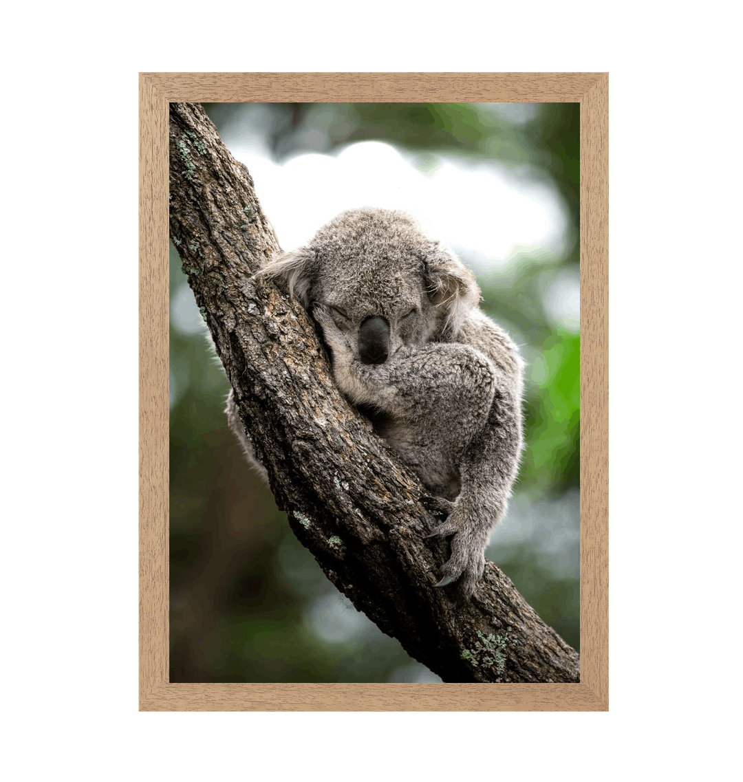 Natural Frame Framed art print Front