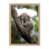 Natural Frame Framed art print Front