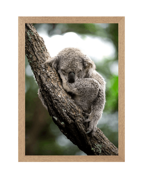 Natural Frame Framed art print Front