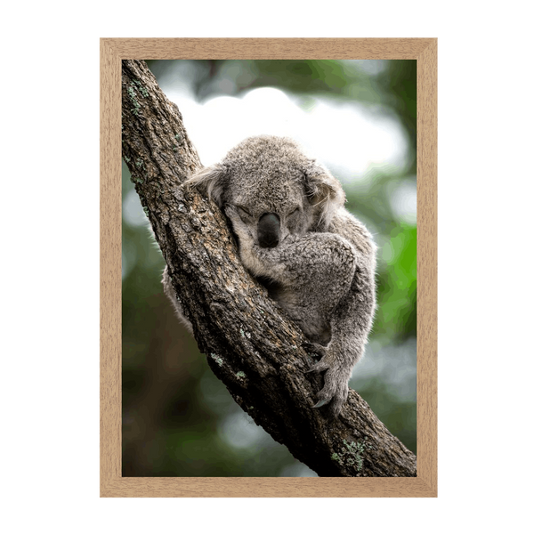 Natural Frame Framed art print Front