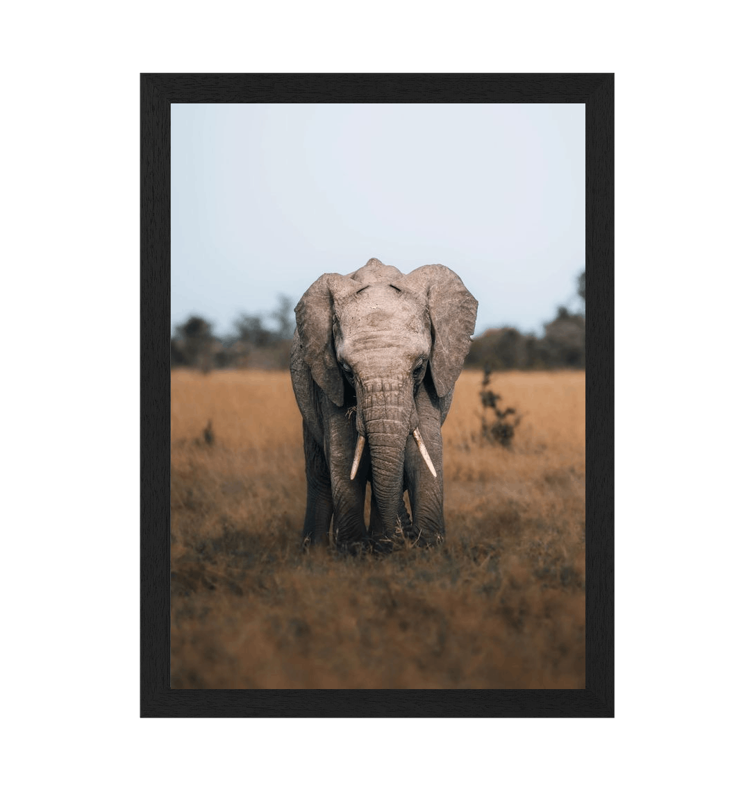 Black Frame Framed art print Front